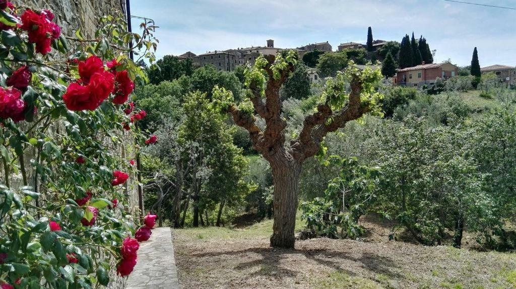 مبيت وإفطار Sant'Angelo in Colle Colombaio In Colle المظهر الخارجي الصورة