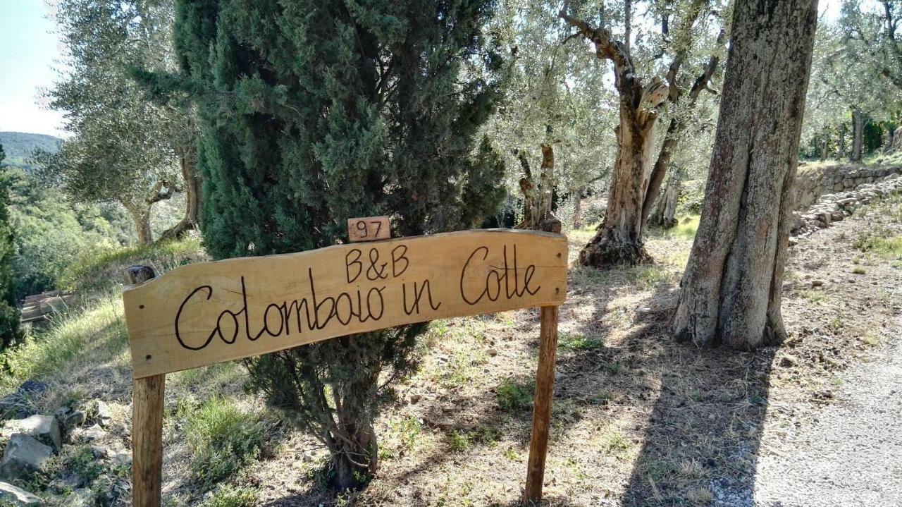 مبيت وإفطار Sant'Angelo in Colle Colombaio In Colle المظهر الخارجي الصورة