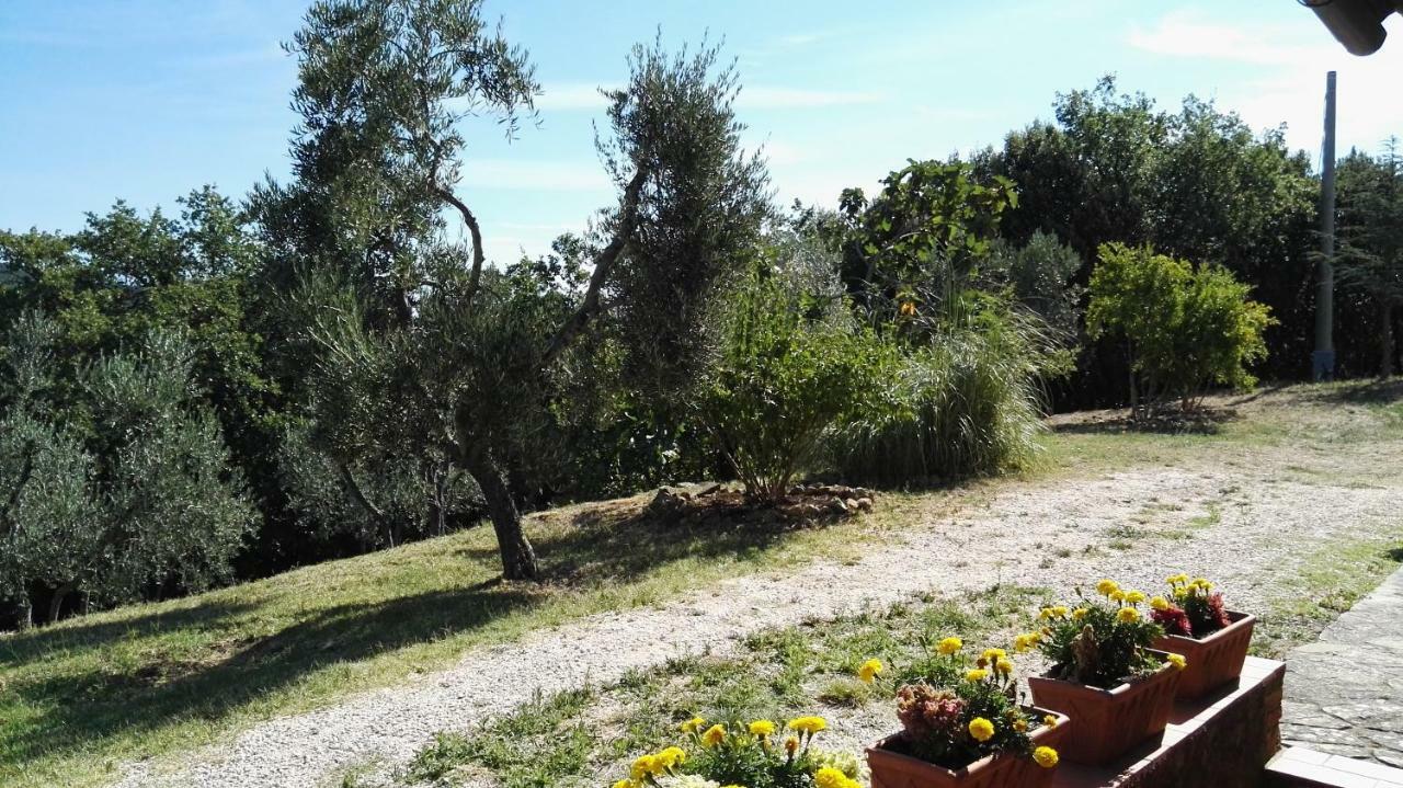 مبيت وإفطار Sant'Angelo in Colle Colombaio In Colle المظهر الخارجي الصورة